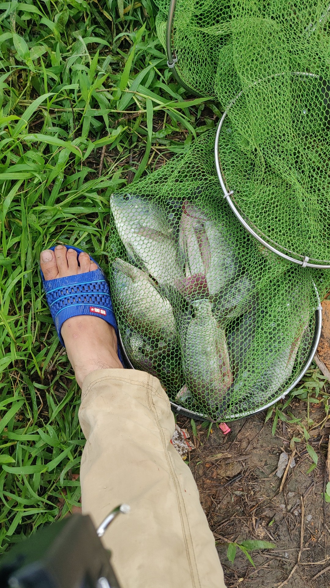 水情不稳定如何钓鱼,水情不明钓鱼必须每次都调漂吗