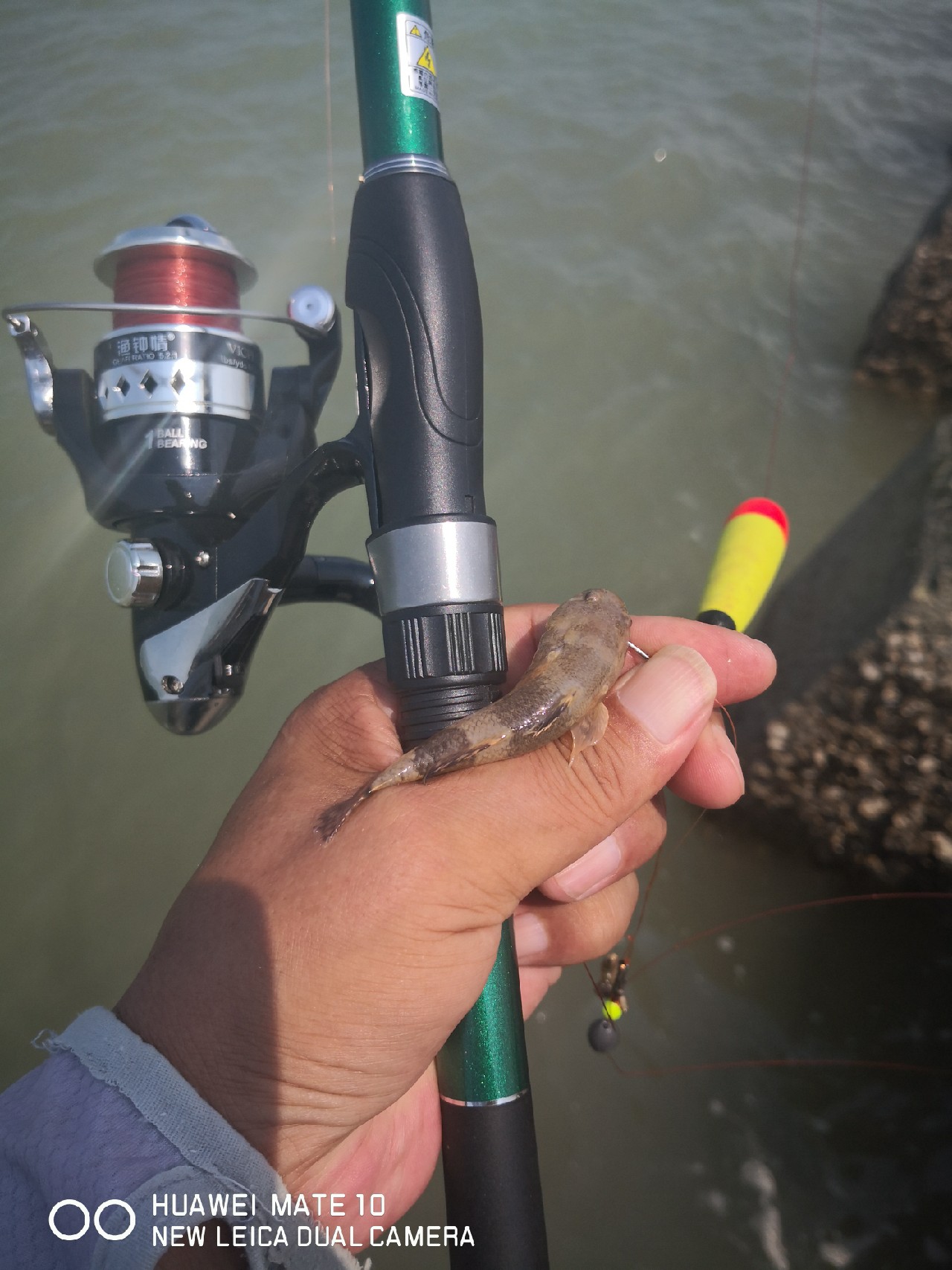 秋风起鲈鱼肥,秋风起虾蟹肥