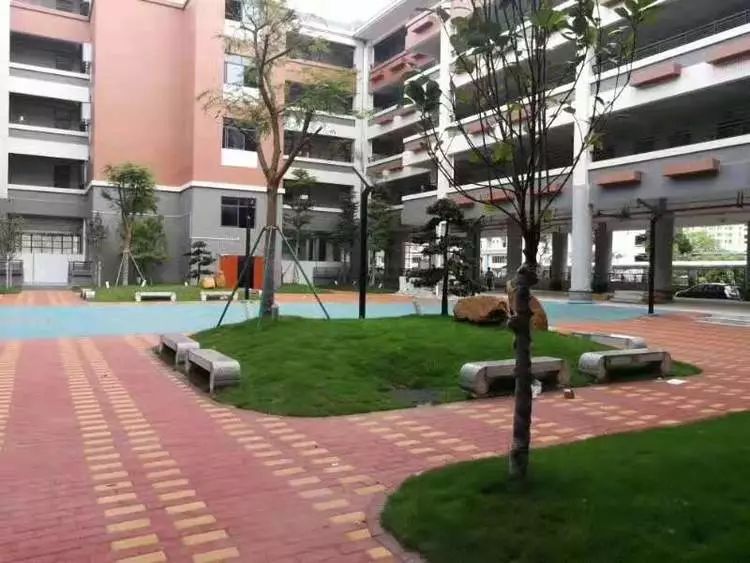 增城校区环境,增城优美干净环境