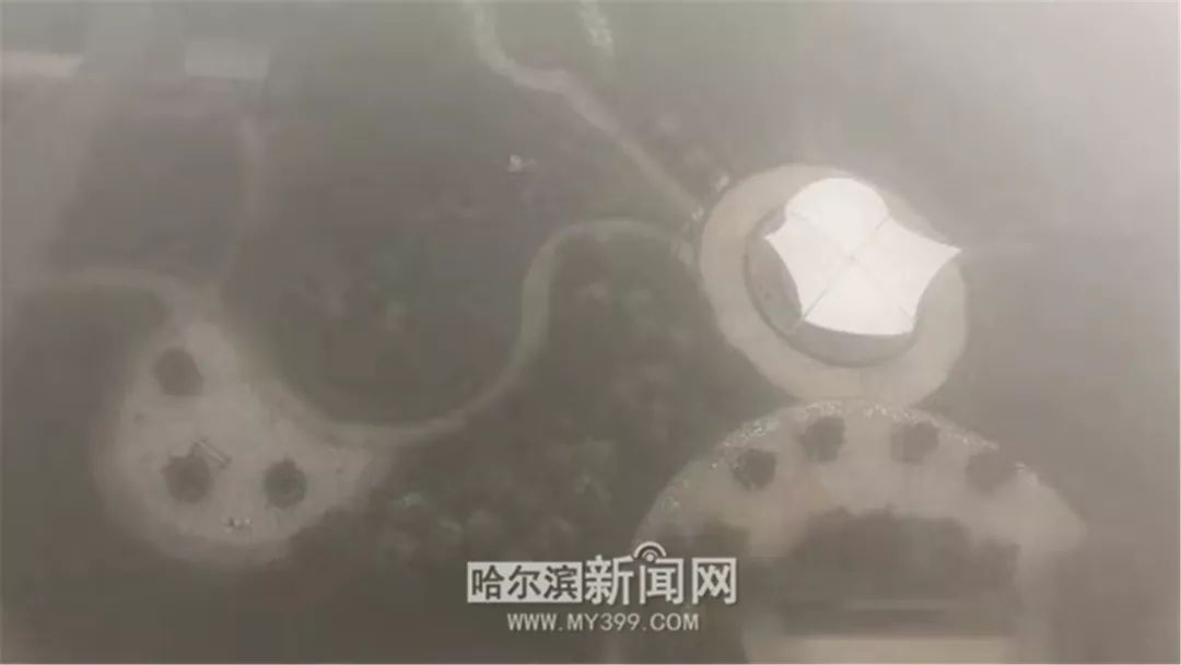 哈尔滨风景好的大公园推荐,哈尔滨松北区哪个公园好看