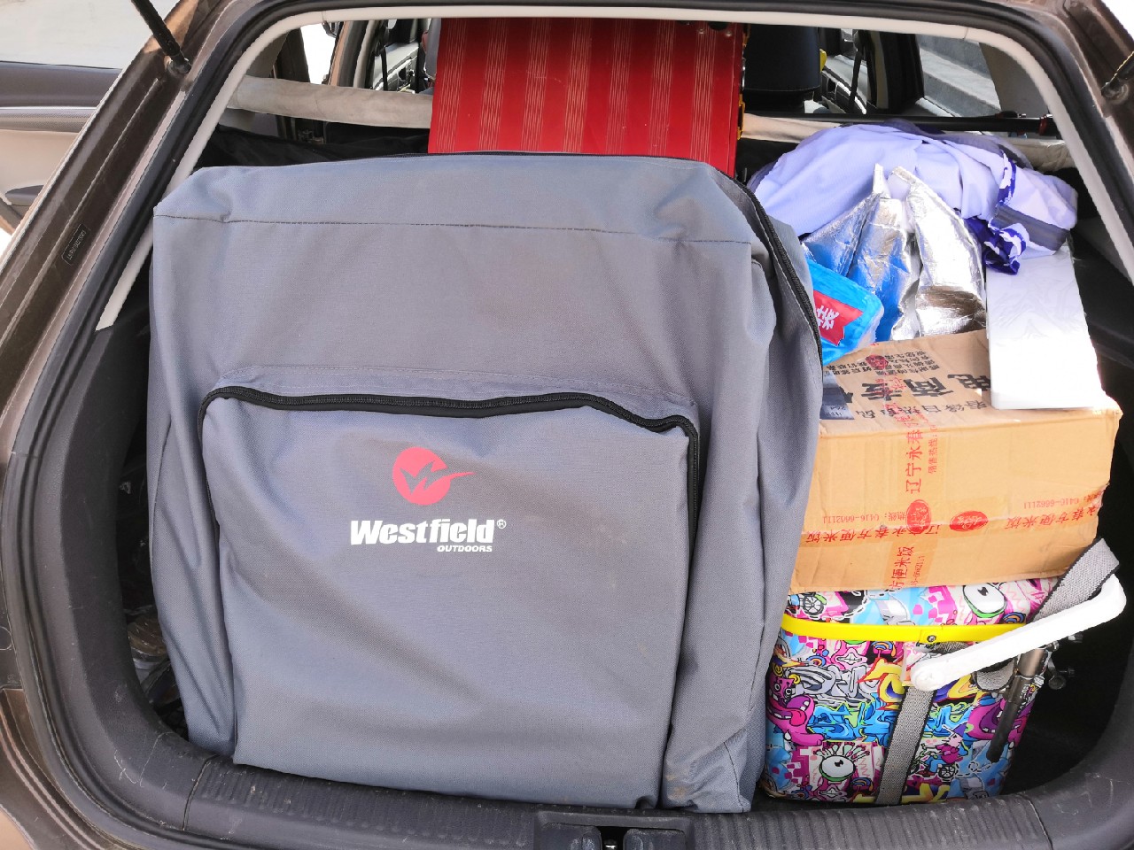 手里的竿水里的鱼，还有捡垃圾的真钓鱼人