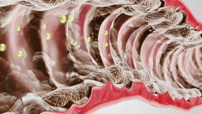 给肠道洗个澡，便秘、口臭、大肚腩都没了