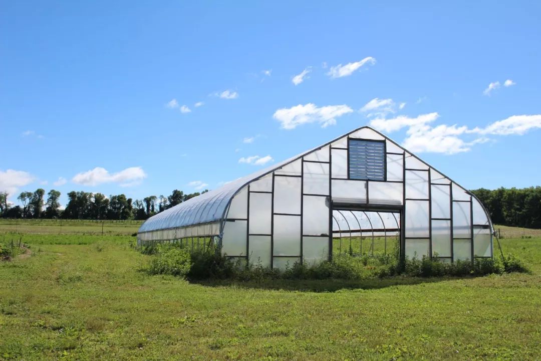 把诊室开在农场里，用有机食物做处方药的另类医生