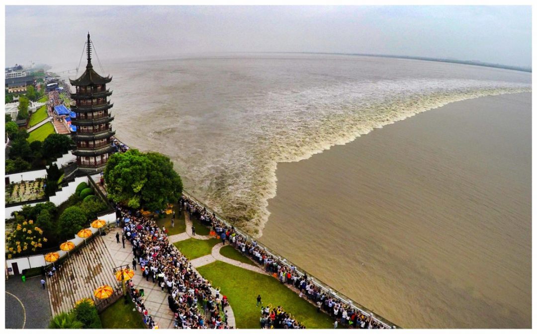 比去年大!八月十八钱塘江大潮来了!这份最全观潮攻略请收好