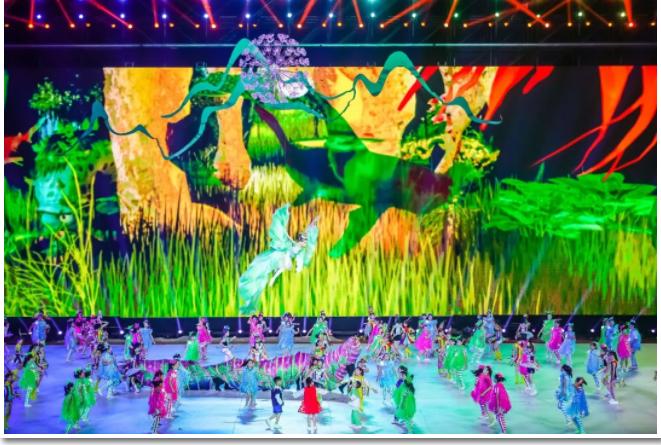 黄冈校运会开幕式入场表演,美爆了黄冈市五运会开幕式