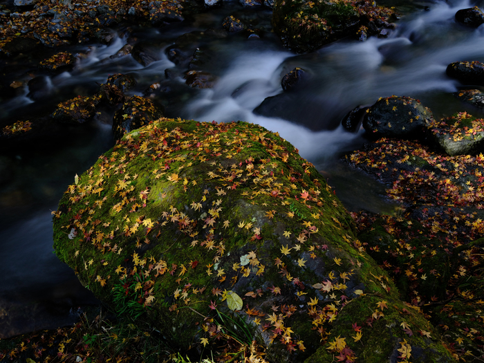 有必要换富士gfx100s吗,为什么相机要换镜头
