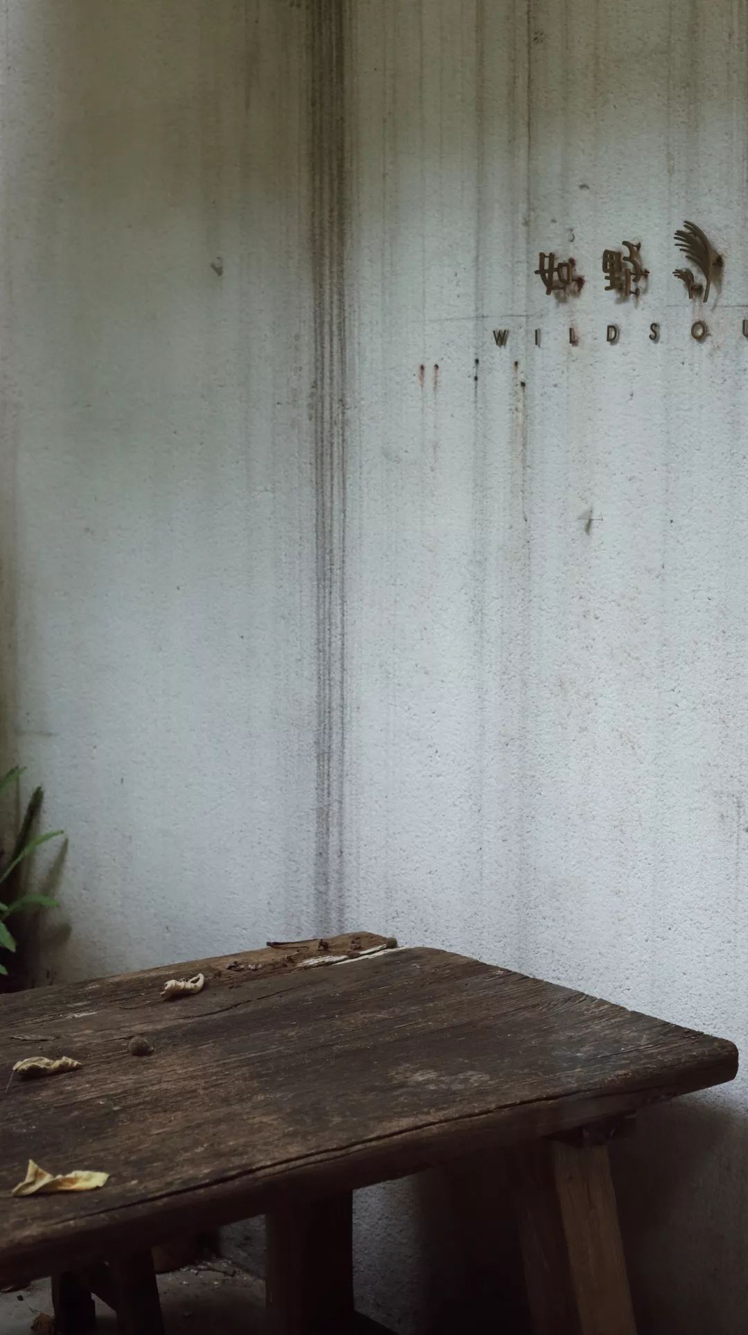 长沙咖啡店排名前十品牌,长沙咖啡馆排行榜前十名