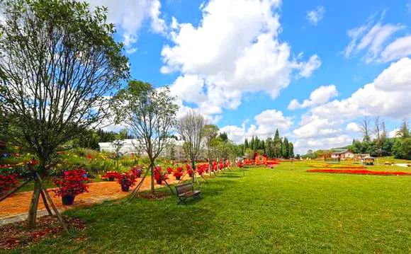 昆明周边景点排行榜前十名,昆明周边温泉一条龙游玩景点推荐