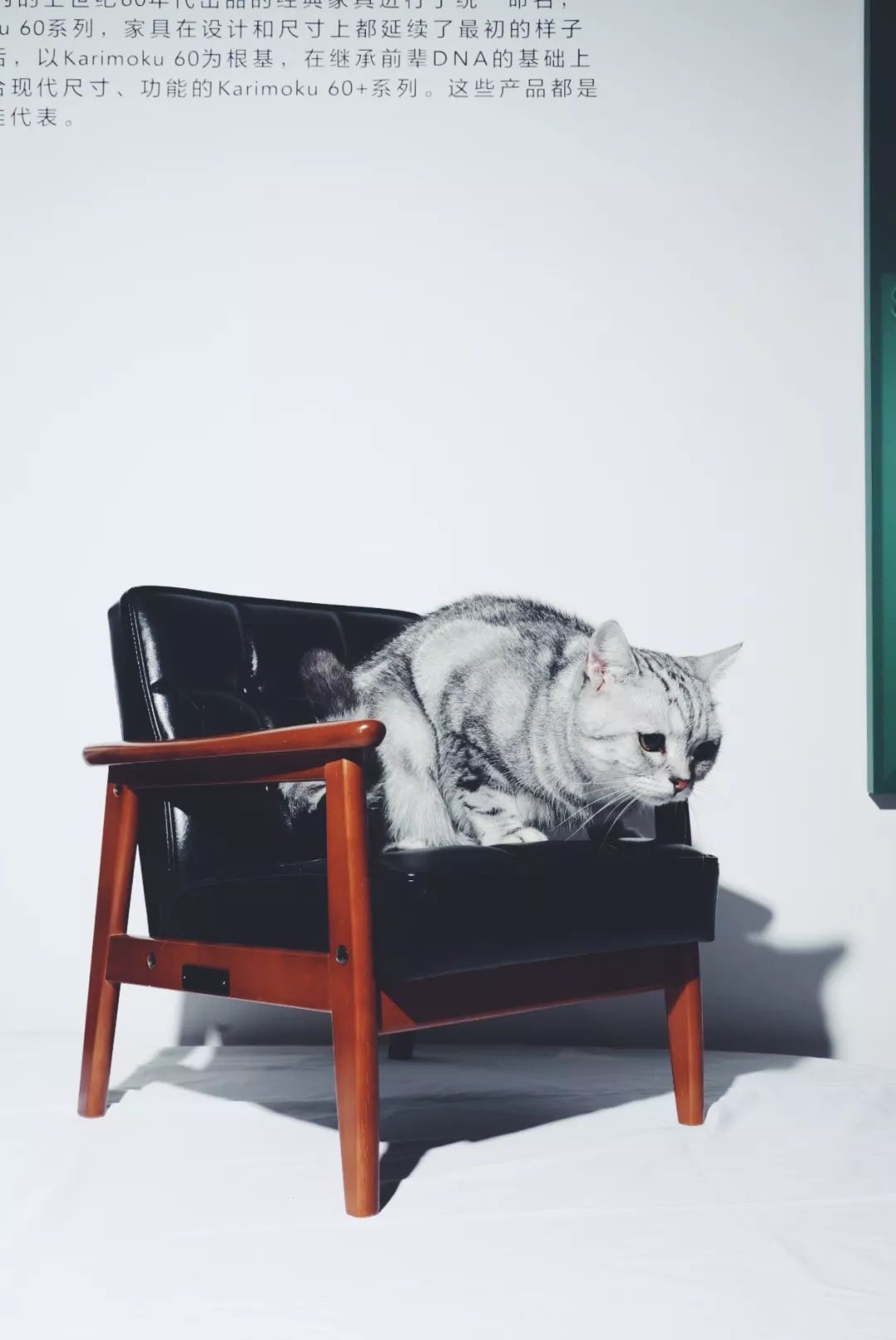 私心北京家居好店大公开，竟变成了剁手之旅...