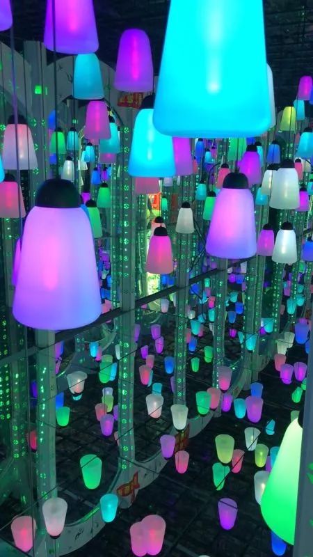 南沙百万葵园免费吗,南沙百万葵园开放时间最新