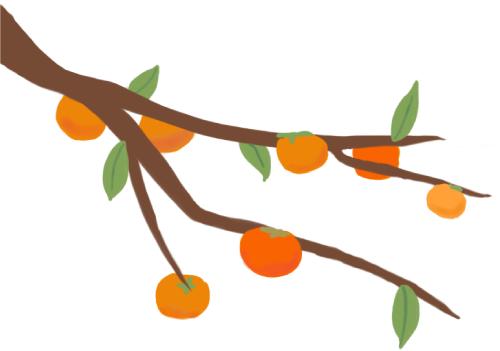 孕产妇孕期保健知识讲座方案,女性孕期盆底保健系列科普