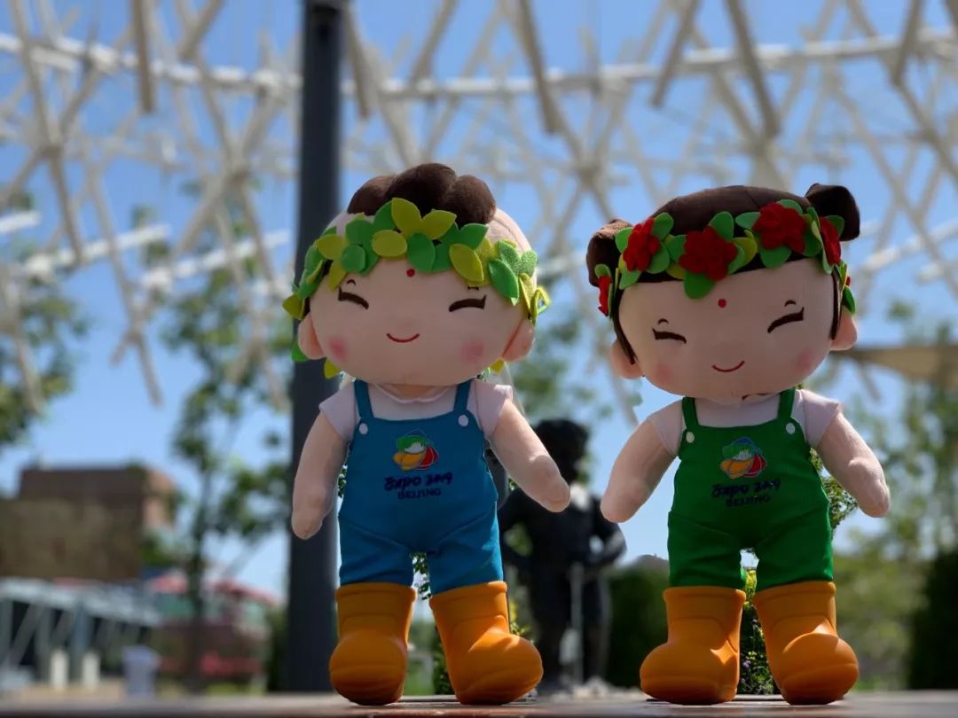 北京世园会2019小萌花,北京世园公园小萌芽