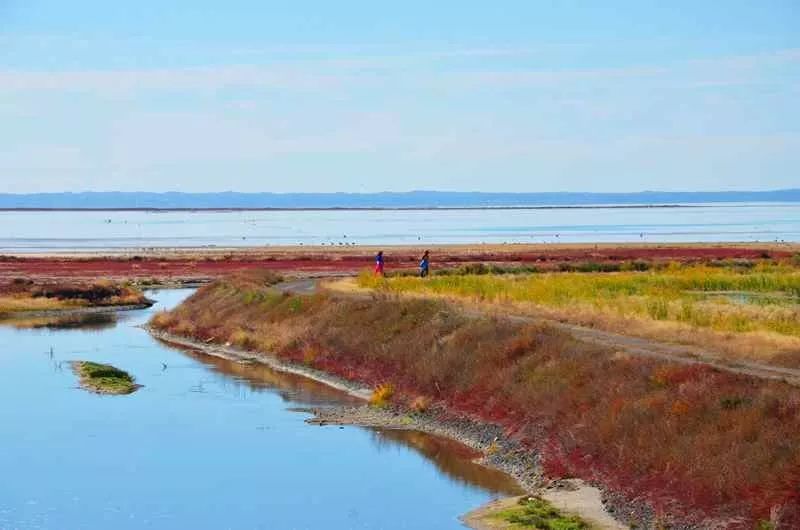 达里湖红海滩在哪里,达里湖冬捕