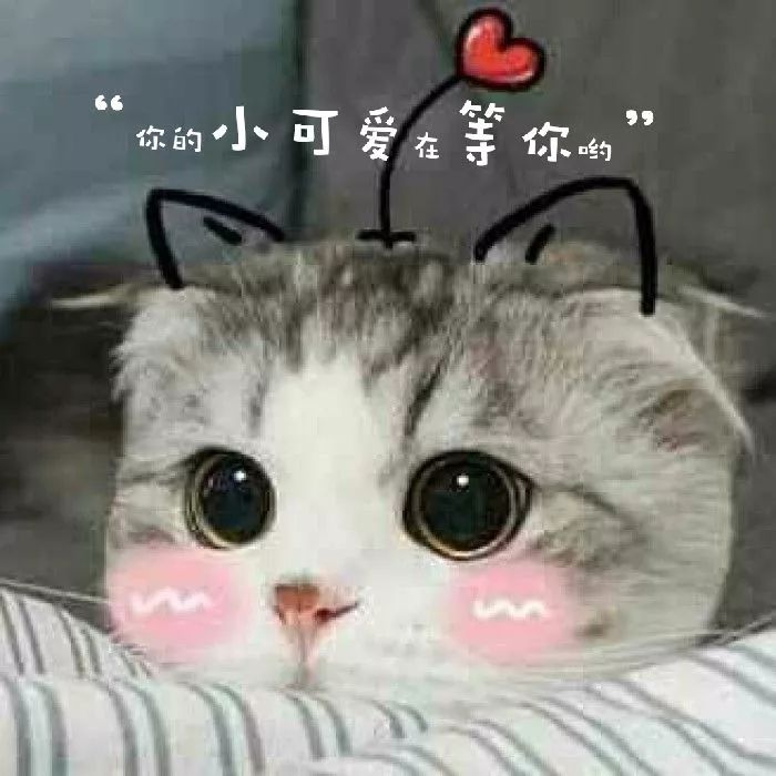 最美不过初相见不期而遇,最美不过初相见一路走好