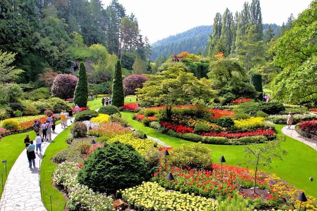 9月15-19日北京活动等你来，论坛+考察+花境，三大亮点，许多干货,欢迎围观