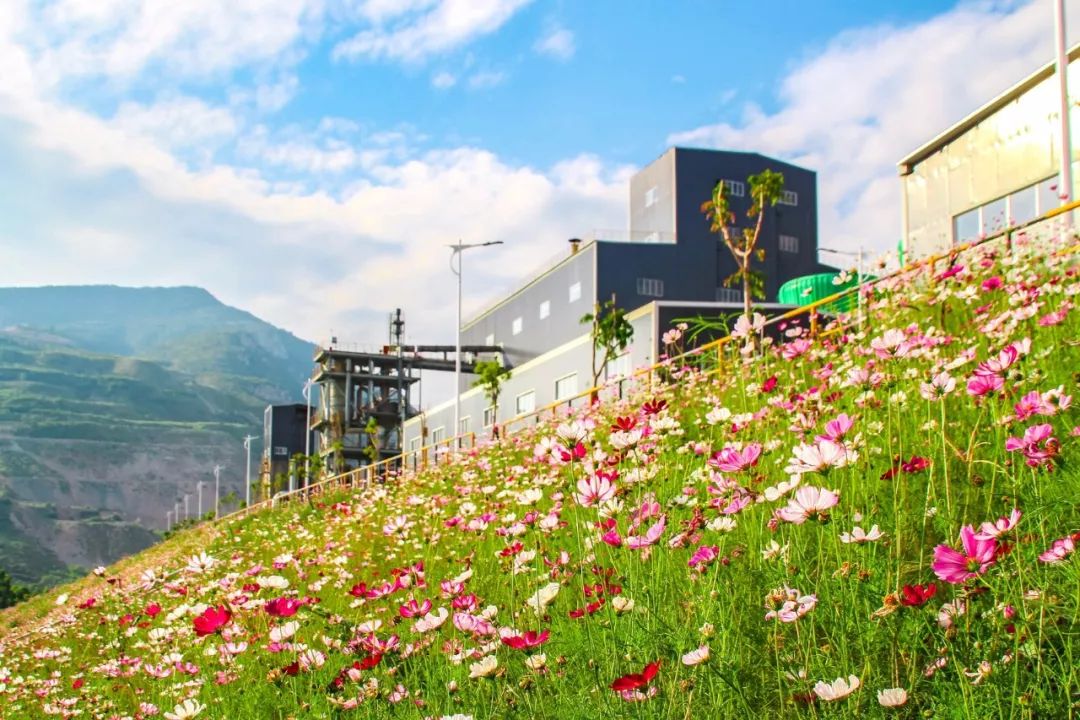 壮丽70年奋斗新时代的相关资料,攀钢发展历程