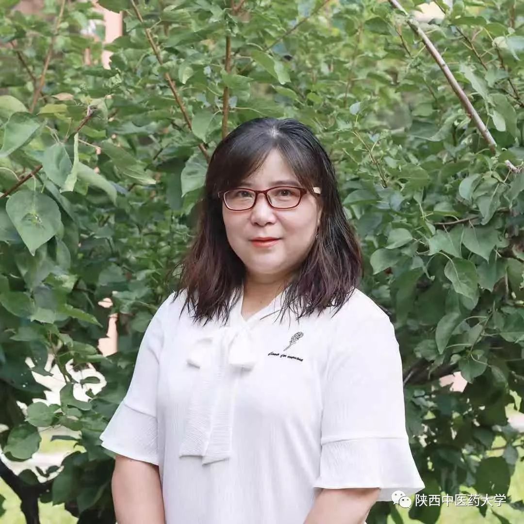 向身边优秀教师学习致敬文案,向教师致敬先进事迹