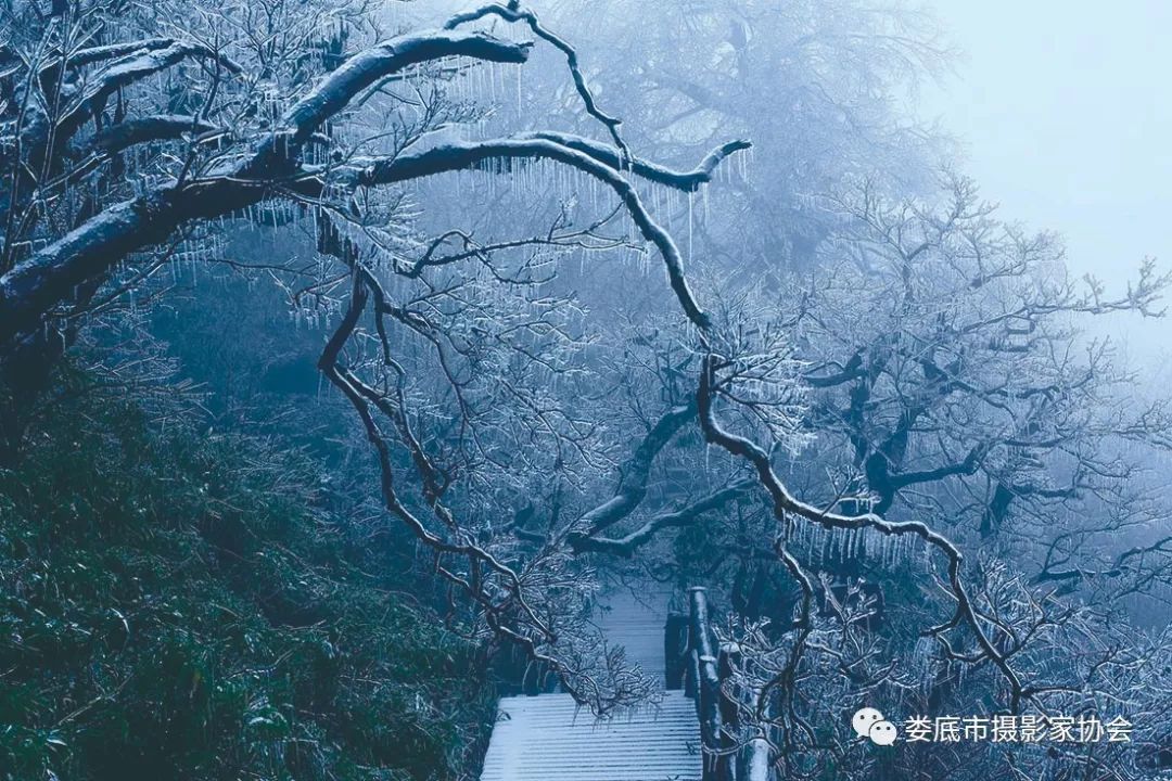 生态娄底美丽家园——【壮丽70年奋斗新时代】娄底首届风光摄影作品展览生态小品作品选登