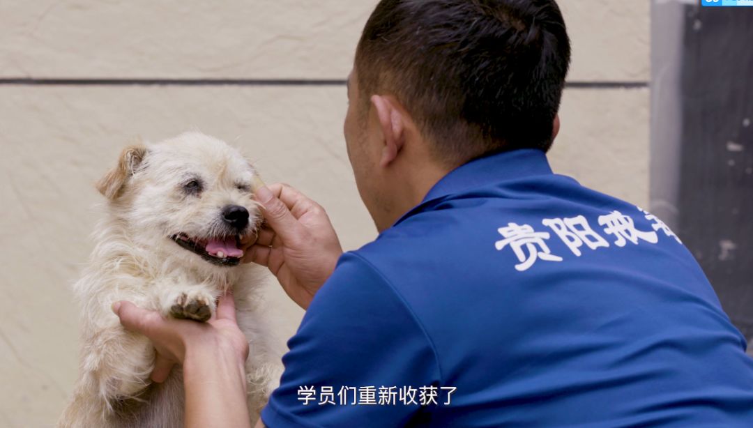 贵阳市三江强制隔离戒毒所官网,贵阳市第一强制隔离戒毒所四大队