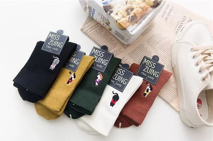 领养猫咪哪一种年龄最合适,领养一只小猫咪的十个理由