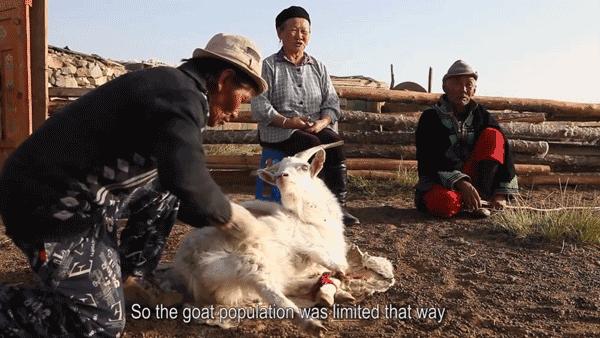 12星座护肤品推荐系列,12星座的护肤品