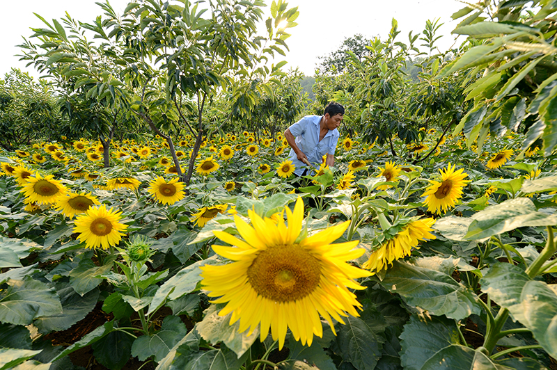 大河之北完整版视频,大河之北原唱完整版