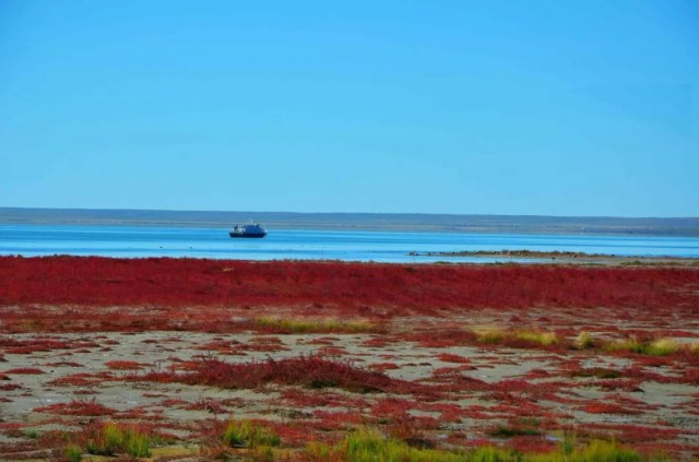 内蒙古的秋天有多美,内蒙古的秋天有多美啊