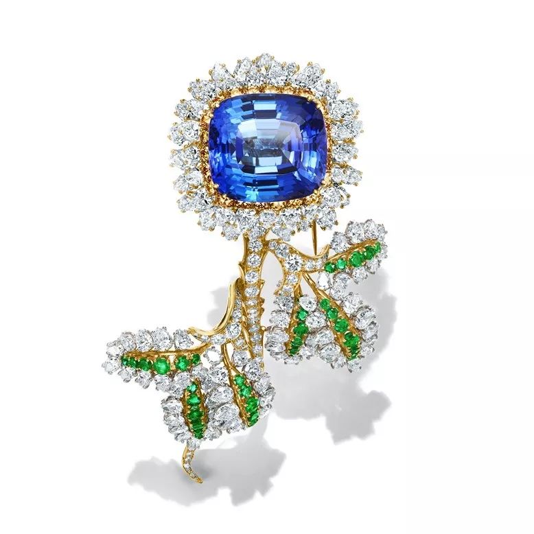 看展之旅,看展之旅开启