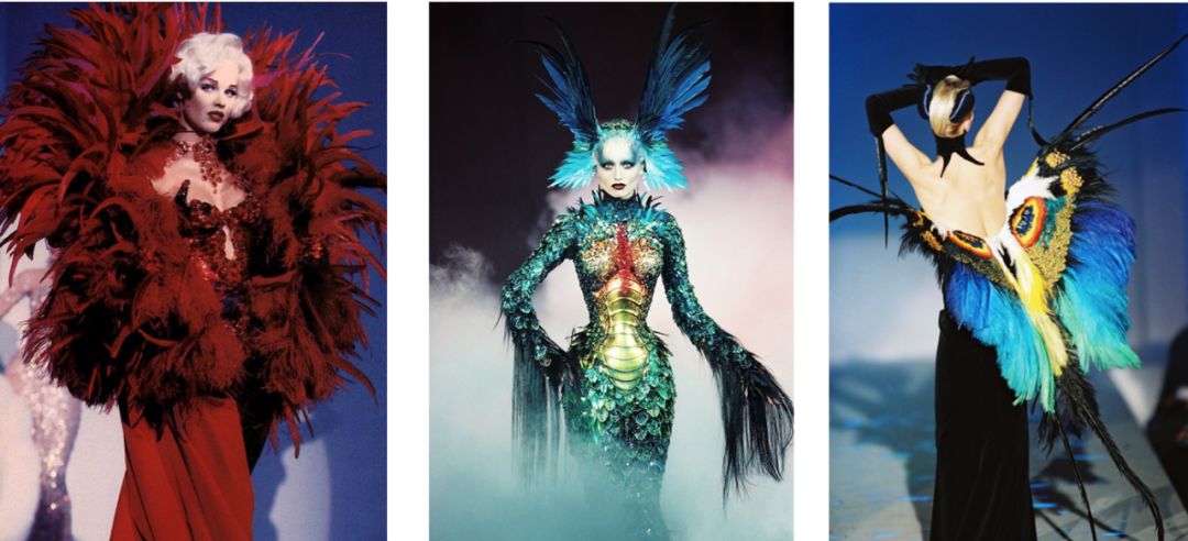 轻盈的羽毛飘落,轻盈柔软的羽毛