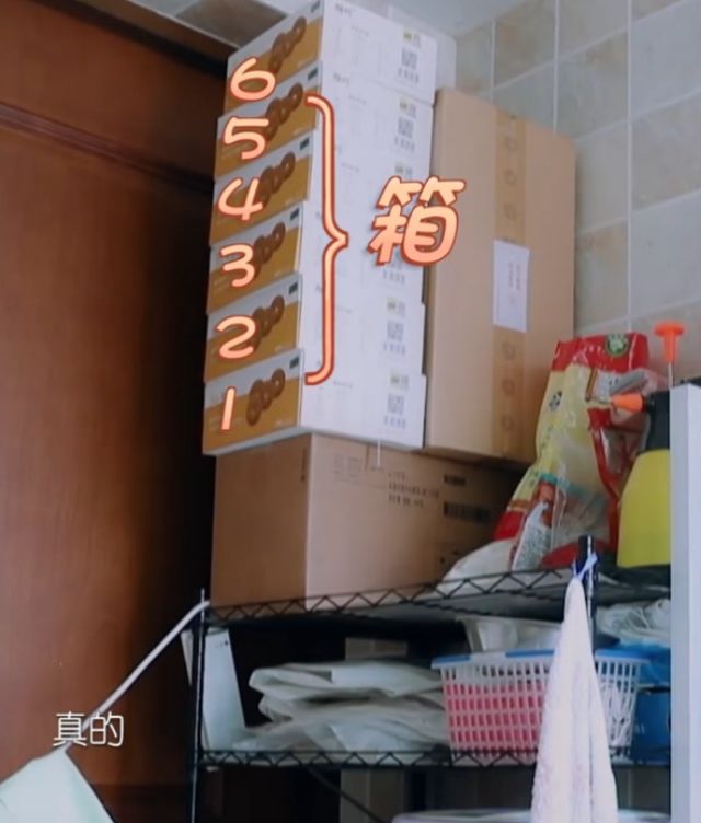 工作日明星夫妻档，红红火火幸福撒狗粮