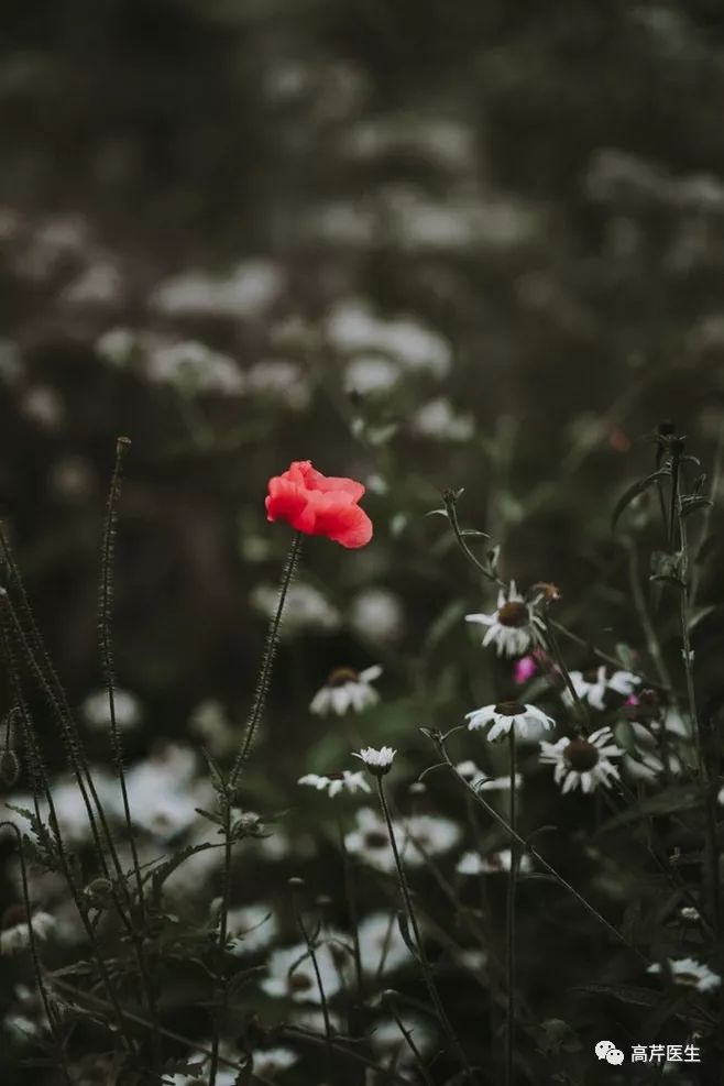 子宫内膜息肉需要卧床休息多久,子宫内膜息肉需要做活检吗