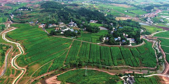 南充高坪丝纺工业园,四川纺织服装产业基地分布