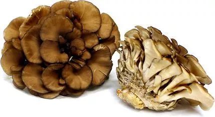 为什么日本会有很多减肥法,你永远不知道原来减肥这么简单