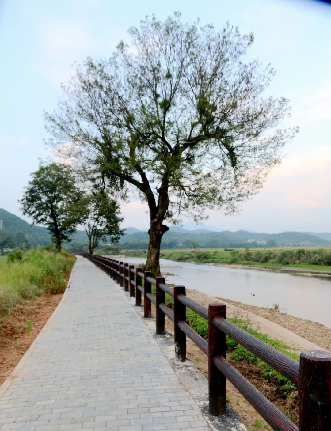 聚焦美丽乡村面貌提升,聚焦美丽乡村建设