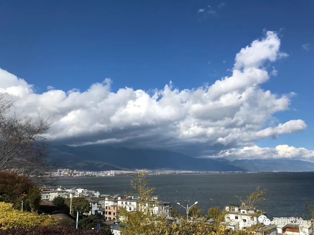 杜永卫：伴我成长的民族品牌