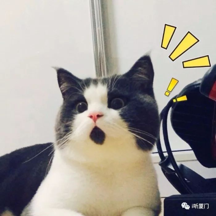 海关携带大量香烟被查,旅客携带逾万支香烟进境被查获