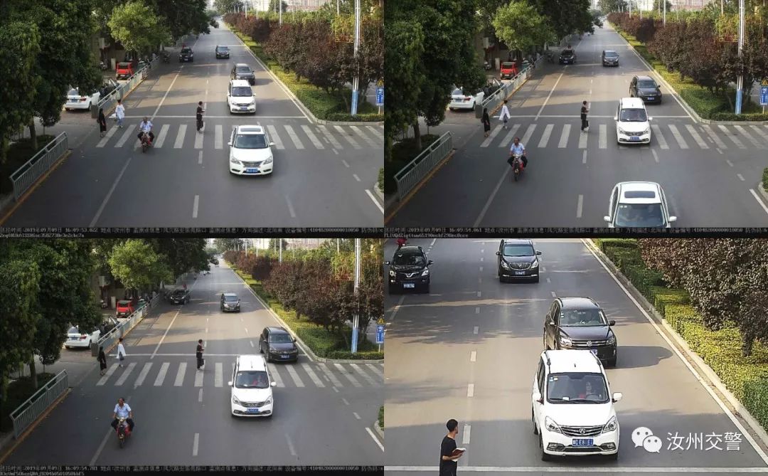 汝州第一座玻璃天桥十一“开桥”/不礼让行人大曝光/一晚上被骗近23万！汝州人当心