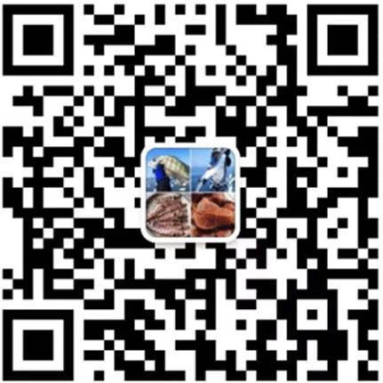 渔家女朋友圈直播,渔家女海鲜直播