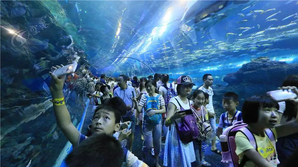 成都双流区旅游省钱攻略推荐,五一在双流适合去哪旅游