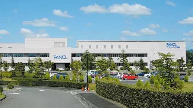 fancl「洁颜粉」泡沫绵密，温和不刺激，爆痘烂脸也可用