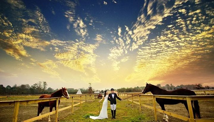 1130什么星座,白桥是什么星座