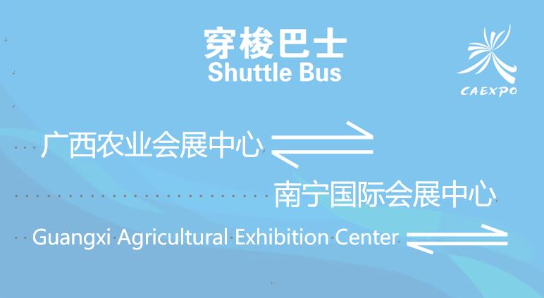 看！好多小姐姐小哥哥在东盟“魅力之城”欢歌热舞！还有开放日最全攻略哦