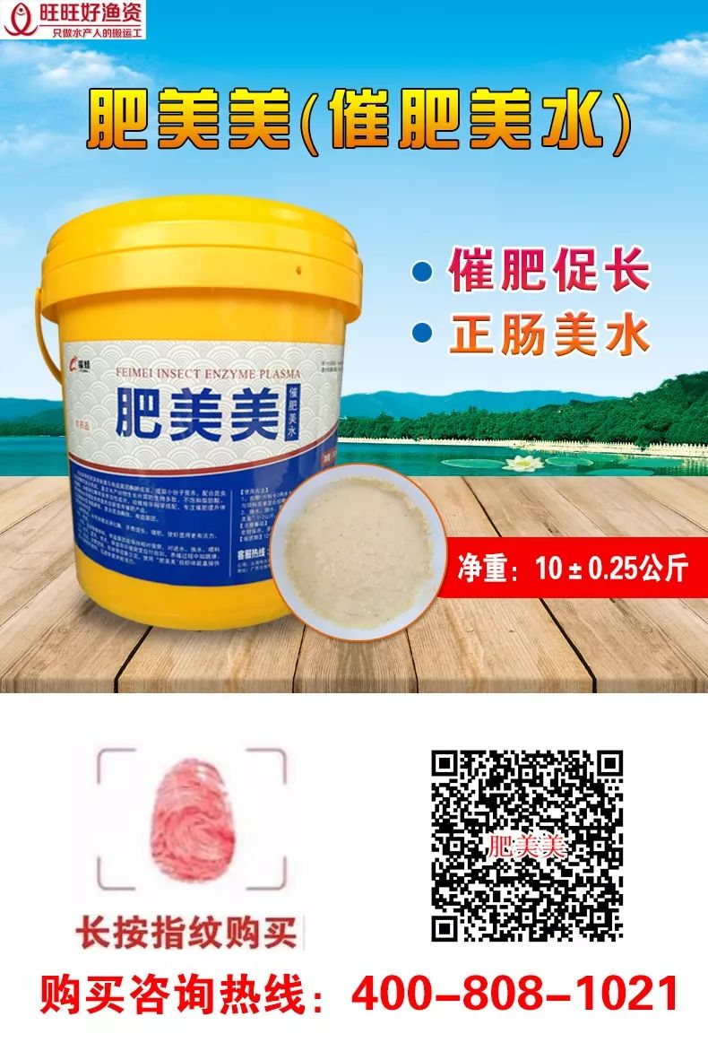 高温天气,南美白对虾“肠炎、拖便”频发,如何才能安稳度过肠炎高发期?