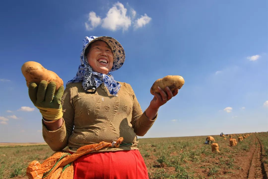 没错，这就是包头！一起为包头转发！为包头点赞！