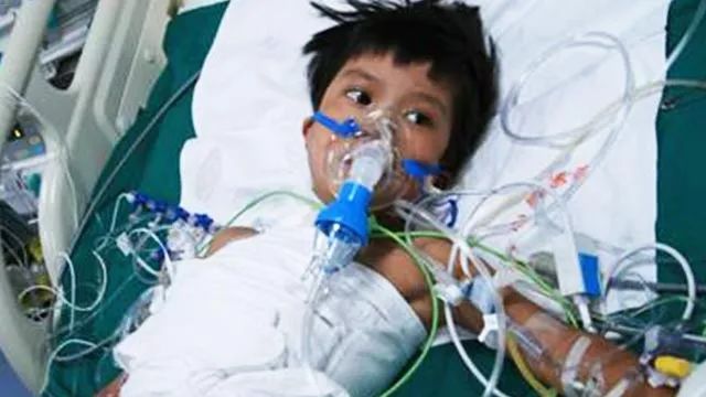 对死亡的认识与感悟文字,关于死亡一篇颠覆你认知的文章