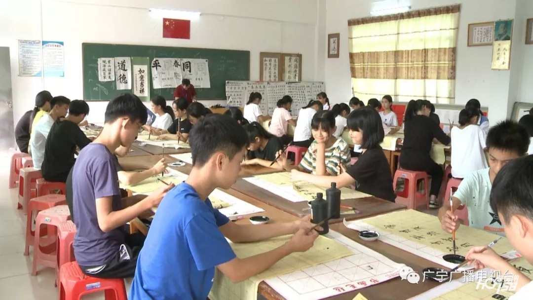 宾亨镇中心学校图片,宾亨镇中心学校2017