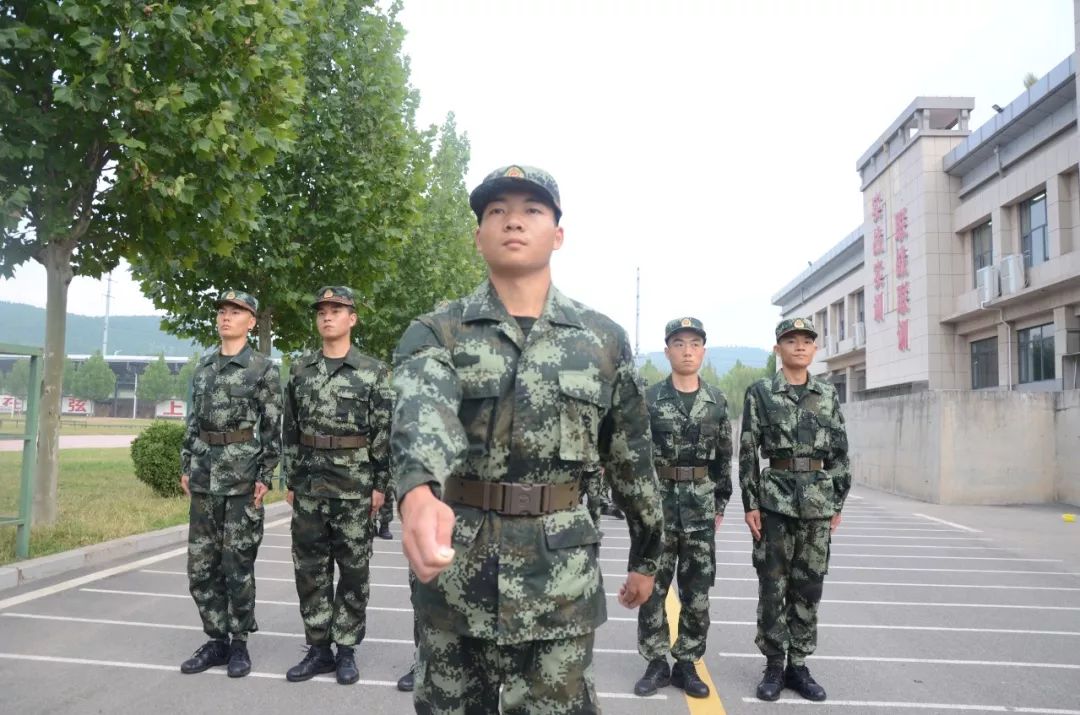 军营之星,新兵军营之星