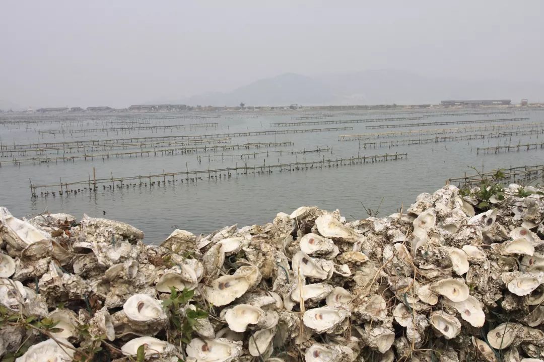 珠海|Onenightin珠海，你为了什么会留下来？