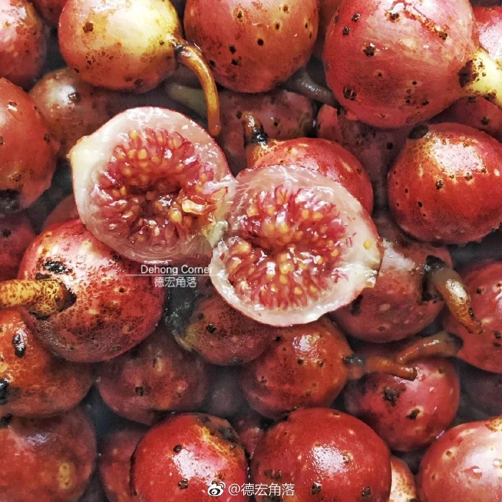 陈晓卿的美食推荐地 (陈晓卿最好吃的美食)