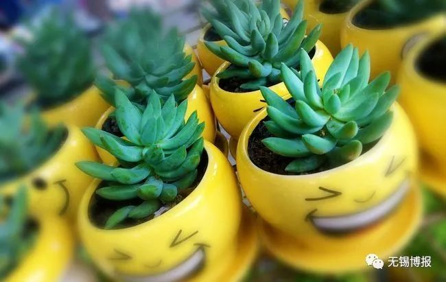 体检发现一个胆囊息肉,体检相隔半年查出胆囊息肉